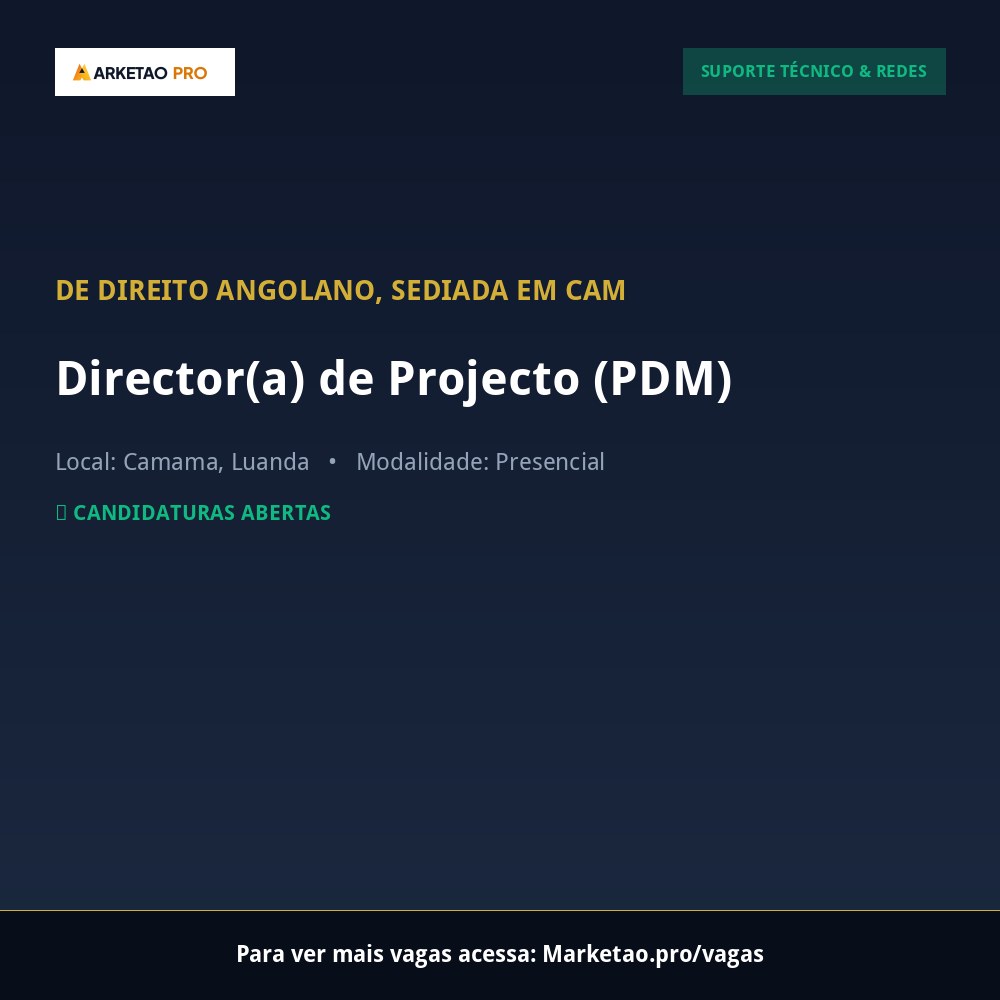 Director(a) de Projecto (PDM)